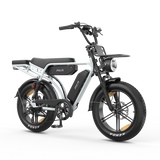 PIXAR M9 Moped Style Ebike